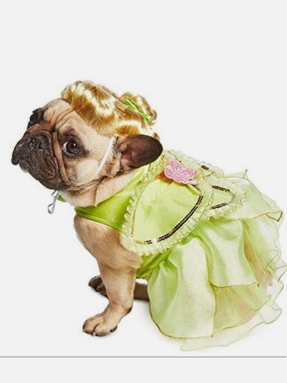 Disney Tinkerbell Wig for Dogs